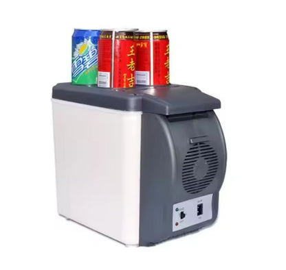Portable Mini Fridge